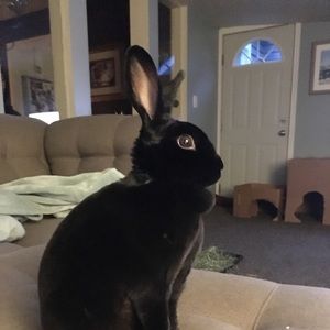 Meet your Posher, Sara